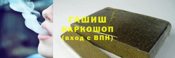 индика Саяногорск