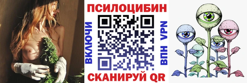 даркнет сайт  kraken зеркало  Галлюциногенные грибы мицелий  Звенигово 